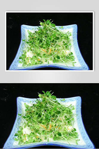 香椿苗拌豆腐食品摄影图片