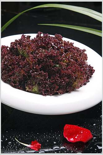 紫生菜餐饮美食图片