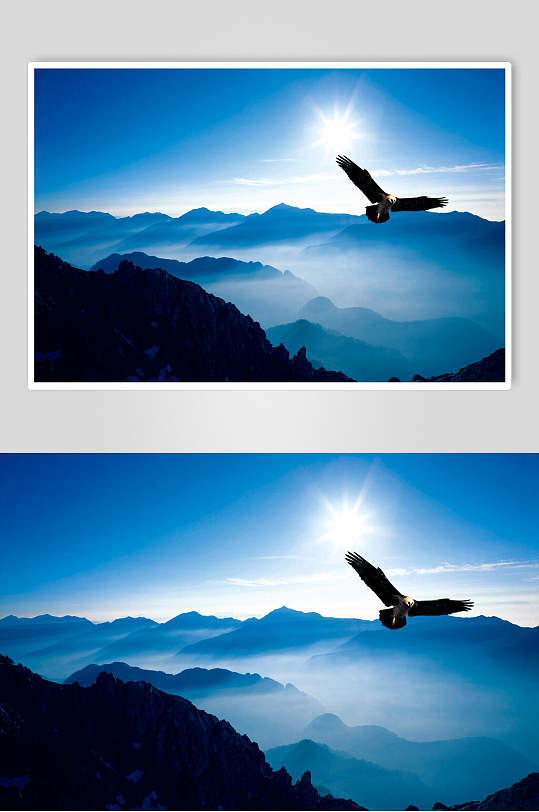 翱翔雄鹰山峰山脉风景图片-众图网