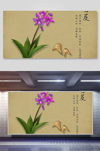 白芨本草纲目中草药介绍展板