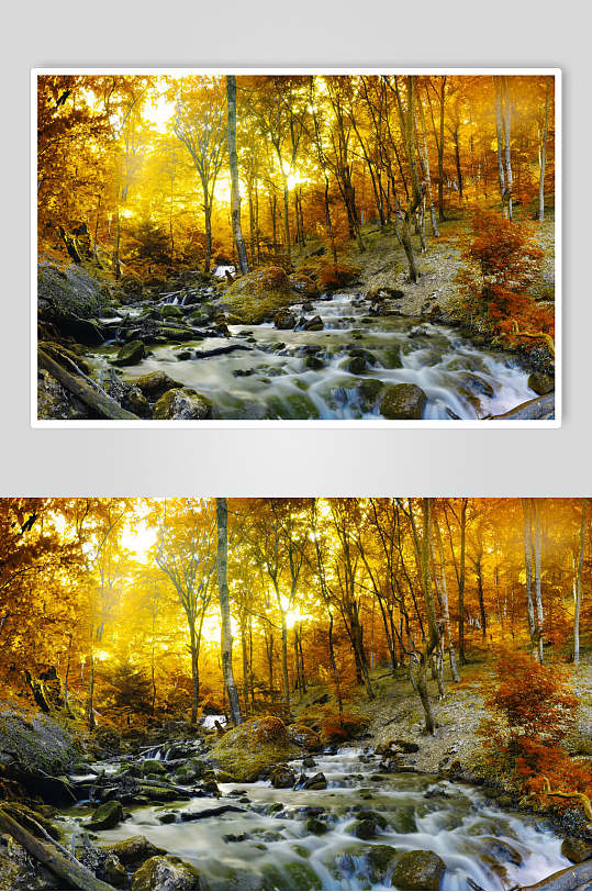 秋天落叶风景图片两联摄影视觉图瀑布溪流