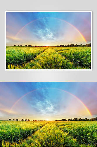 彩虹草地天空风景图片