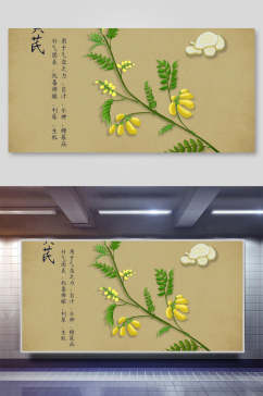 清新白芨本草纲目中草药介绍展板素材