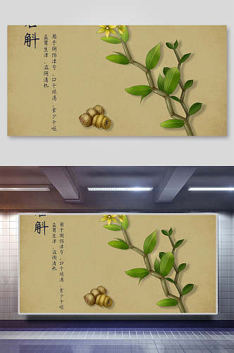 石斛本草纲目中草药介绍展板