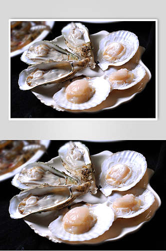 海鲜扇贝生蚝餐饮食品图片