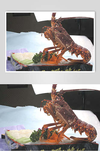精品海鲜澳龙食物图片