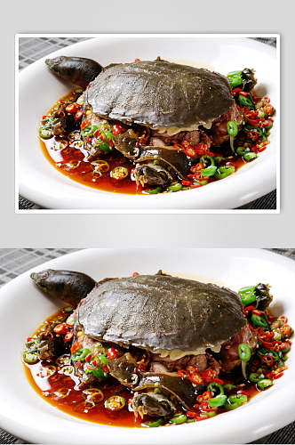 热财红烧土甲鱼美食摄影图片