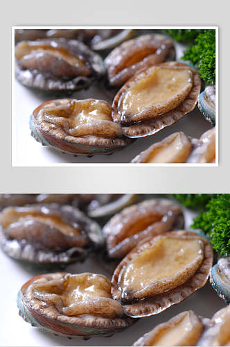 新鲜鲜鲍鱼食品图片