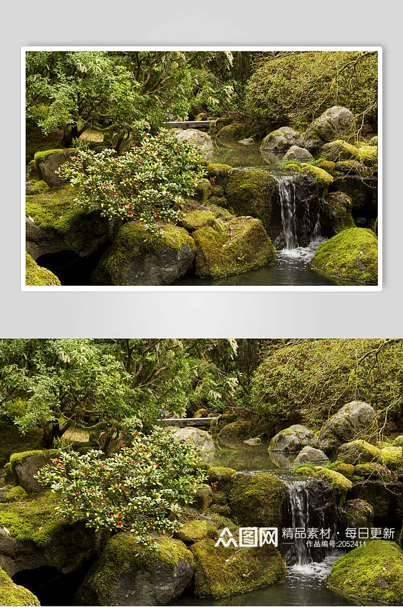 溪水原始森林图片素材