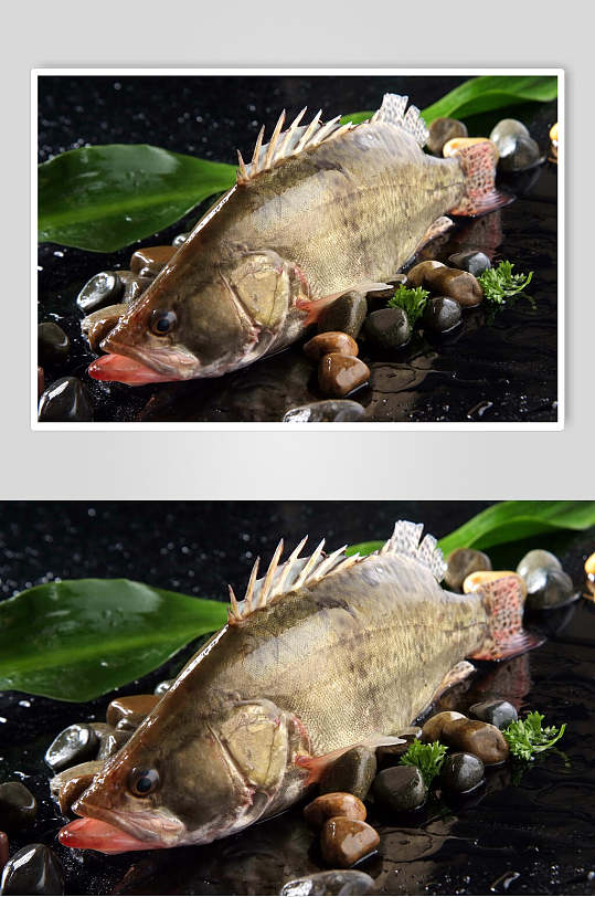 冬菜桂鱼食品摄影图片