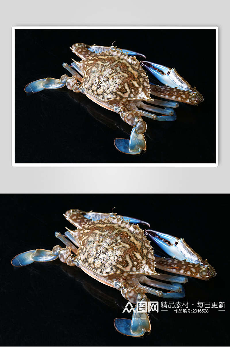 生猛海鲜兰花蟹食品图片素材