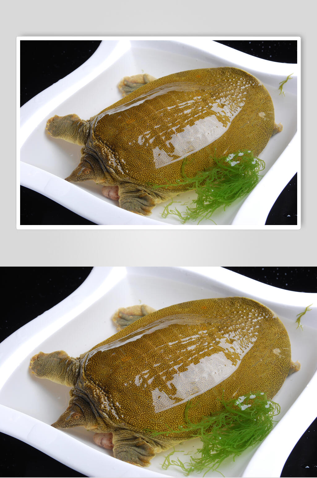 野生土甲鱼餐饮食品图片素材