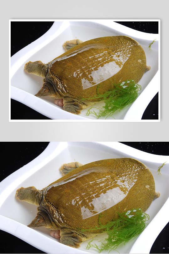 野生土甲鱼餐饮食品图片