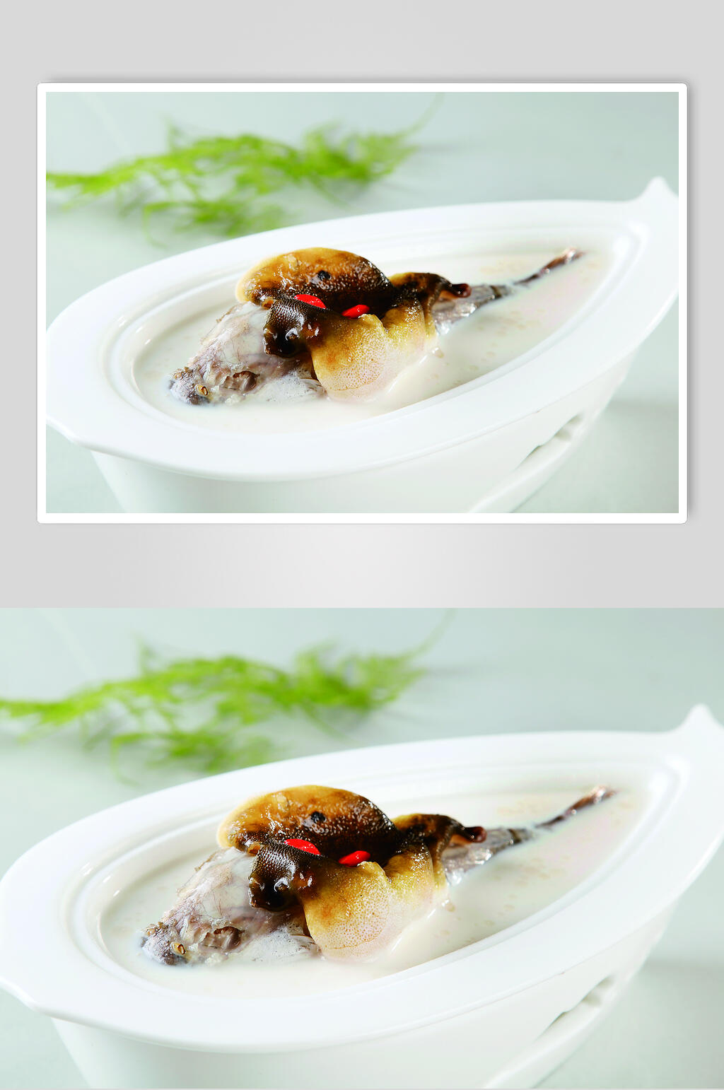 奶汤河豚鱼美食图片素材