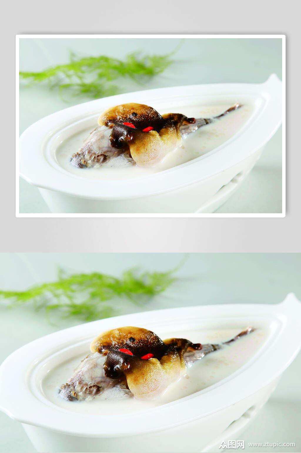 奶汤河豚鱼美食图片