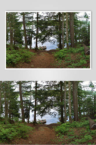 森林湖泊户外露营图片