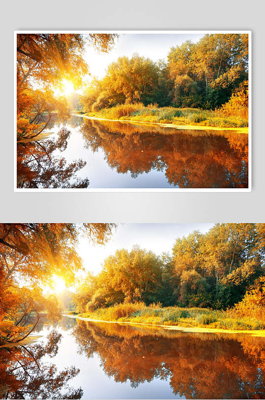 秋天落叶风景图片摄影视觉图两联湖畔秋色