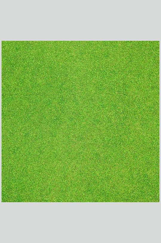草地草坪图片纯绿色摄影视觉