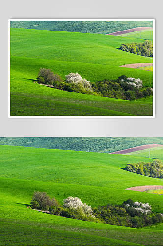 草地天空风景图片广沃的草原两联摄影视觉图