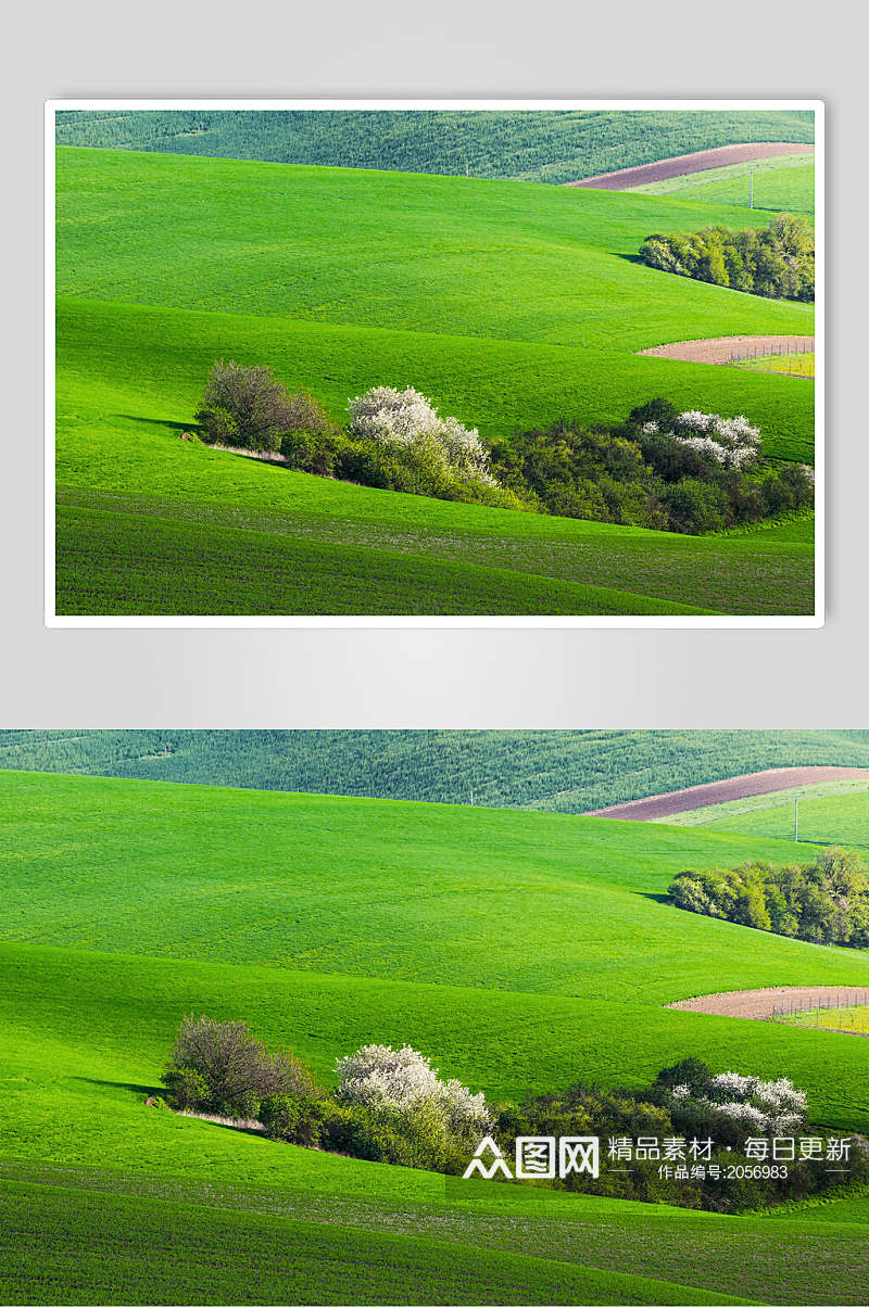 草地天空风景图片广沃的草原两联摄影视觉图素材