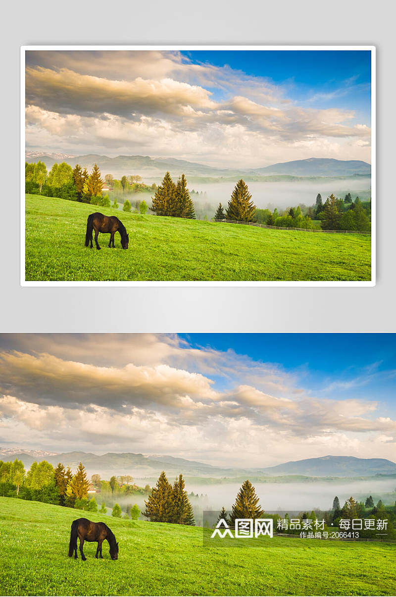 草地天空风景图片草原和马匹摄影图素材
