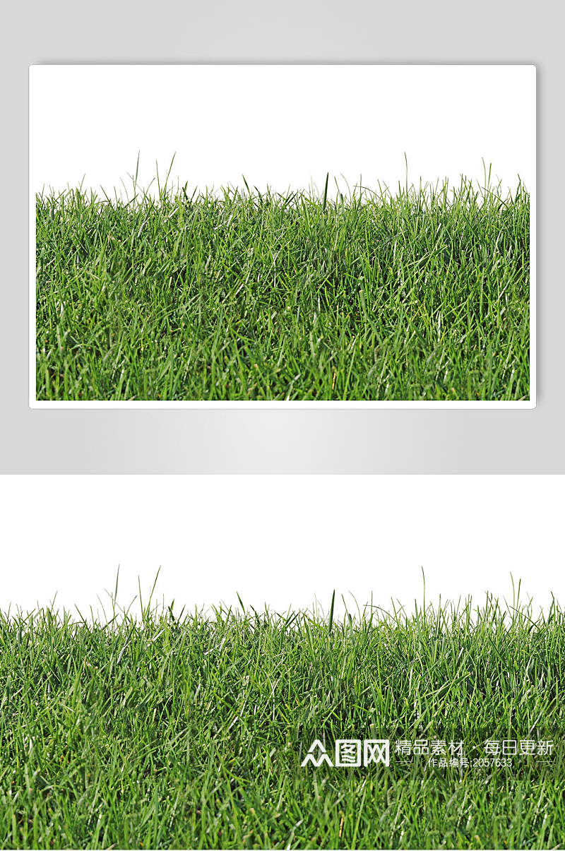 绿色草地草坪图片素材