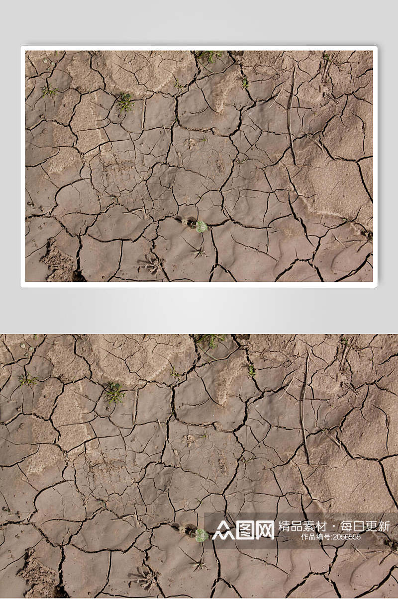 干裂干旱土地面肌理贴图摄影视觉图素材