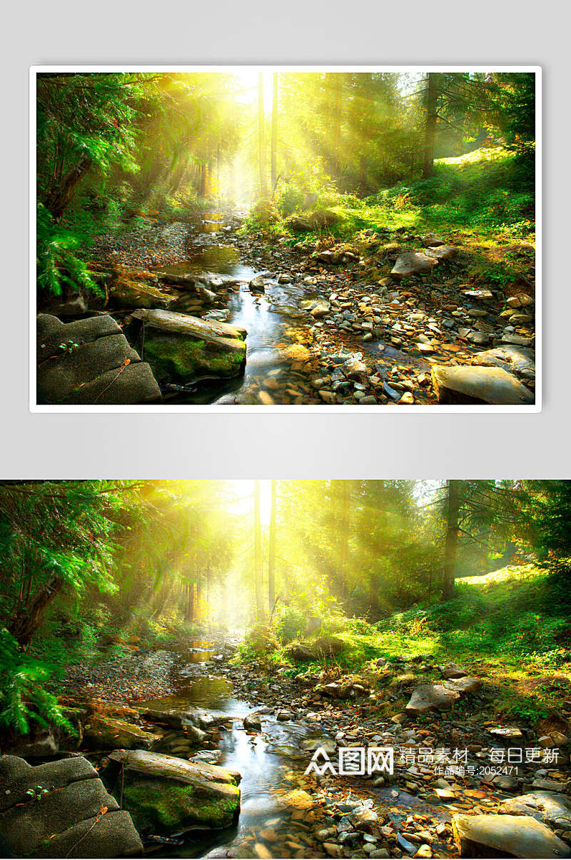 阳光溪水原始森林图片素材