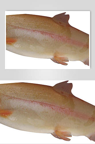 海鲜金鳟鱼美食图片