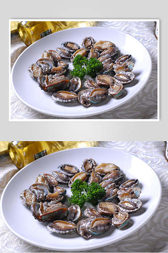 精品海鲜鲜鲍鱼美食摄影图片