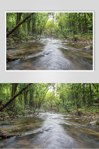 溪水意境原始森林图片