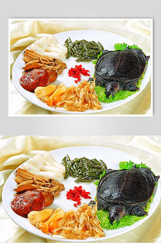 野生菌炖甲鱼餐饮食物图片