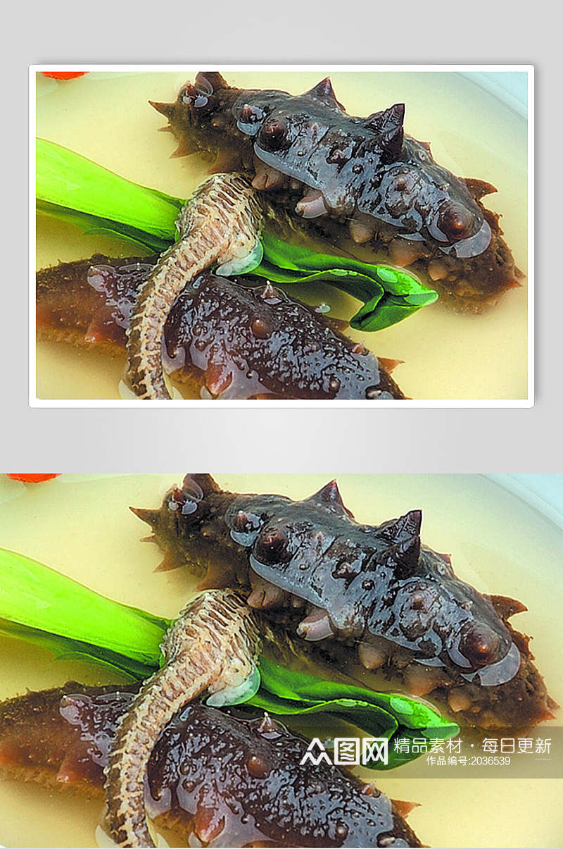 枸子海马炖双参海鲜美食图片素材