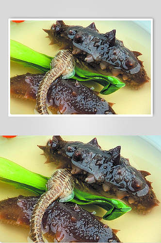 枸子海马炖双参海鲜美食图片