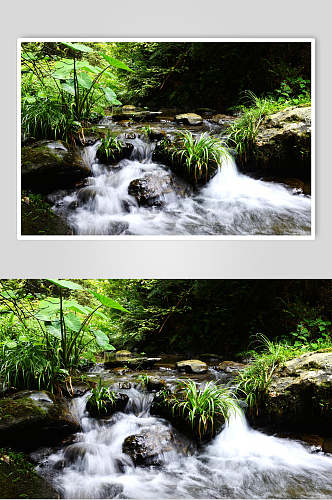 原始森林图片溪流流水夏日视觉摄影图