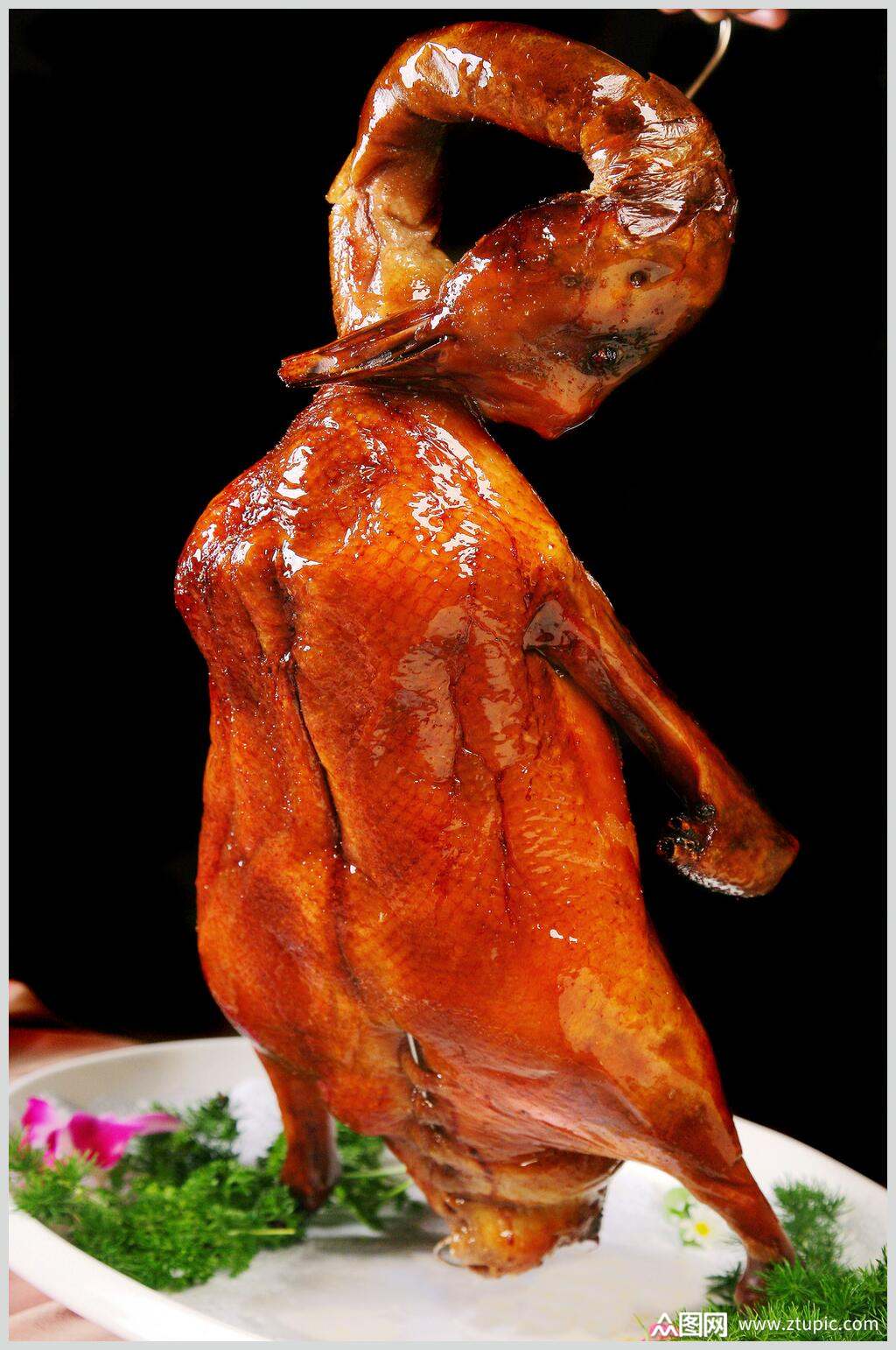 深井烧鸭食品摄影图片素材