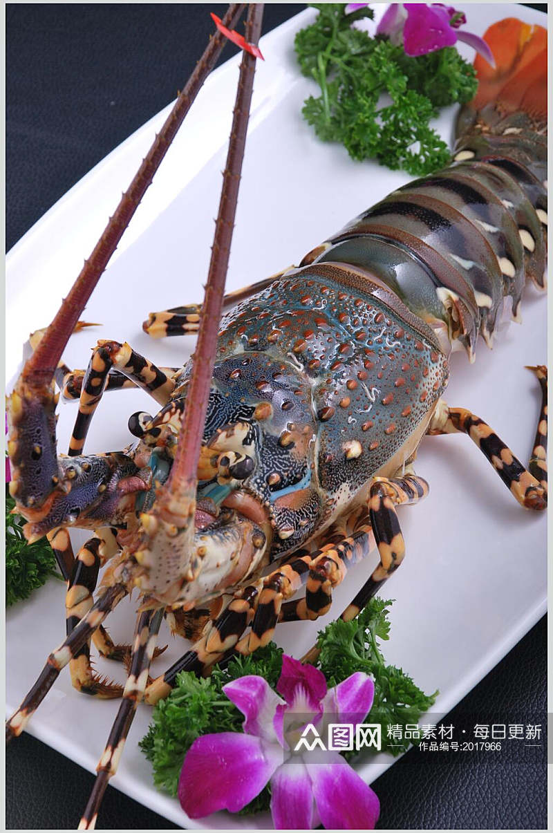深海龙虾刺身餐饮食品图片素材