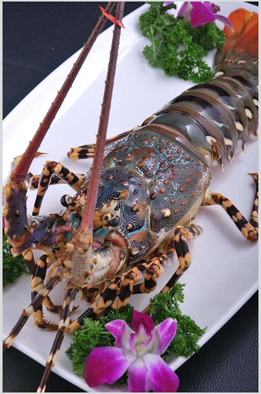 深海龙虾刺身餐饮食品图片