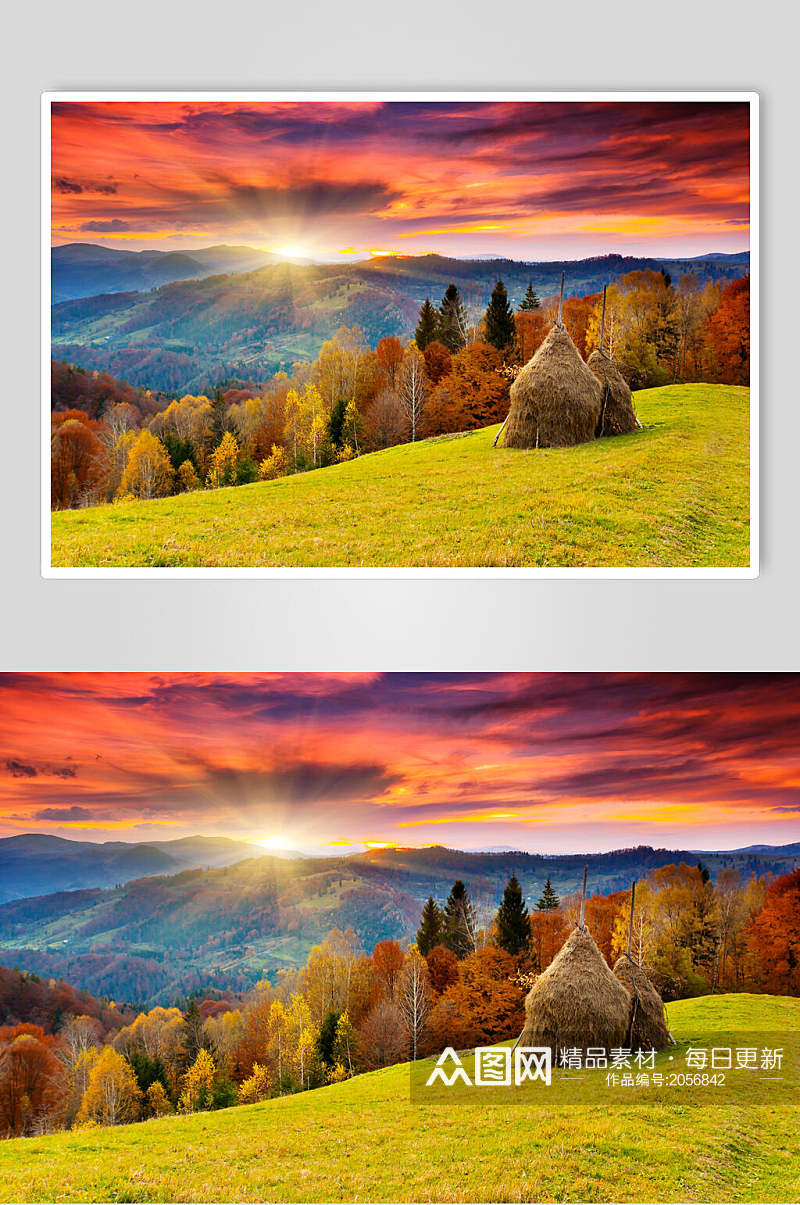 秋天落叶风景图片两联摄影视觉图素材