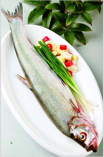 太湖白鱼食物高清图片