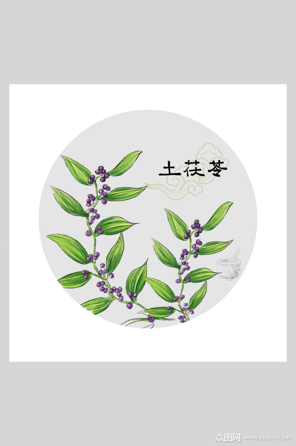 土茯苓本草纲目中草药插画素材
