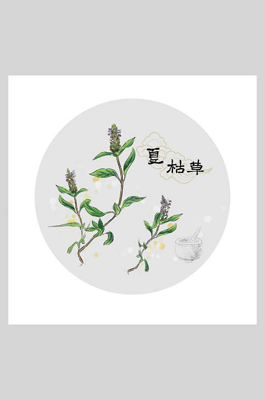 草本插画图片-草本插画素材下载-众图网