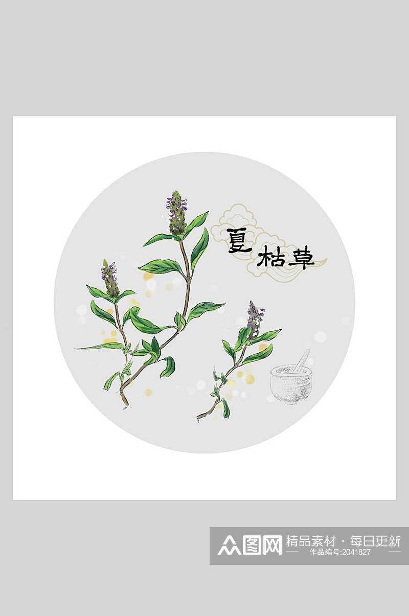 夏桔草本草纲目中草药插画素材素材