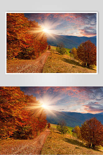 秋天落叶风景图片摄影视觉图夕阳秋日
