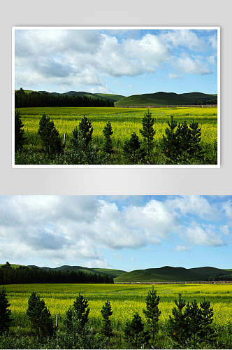 草地天空风景图片田野和森林两联摄影视觉图