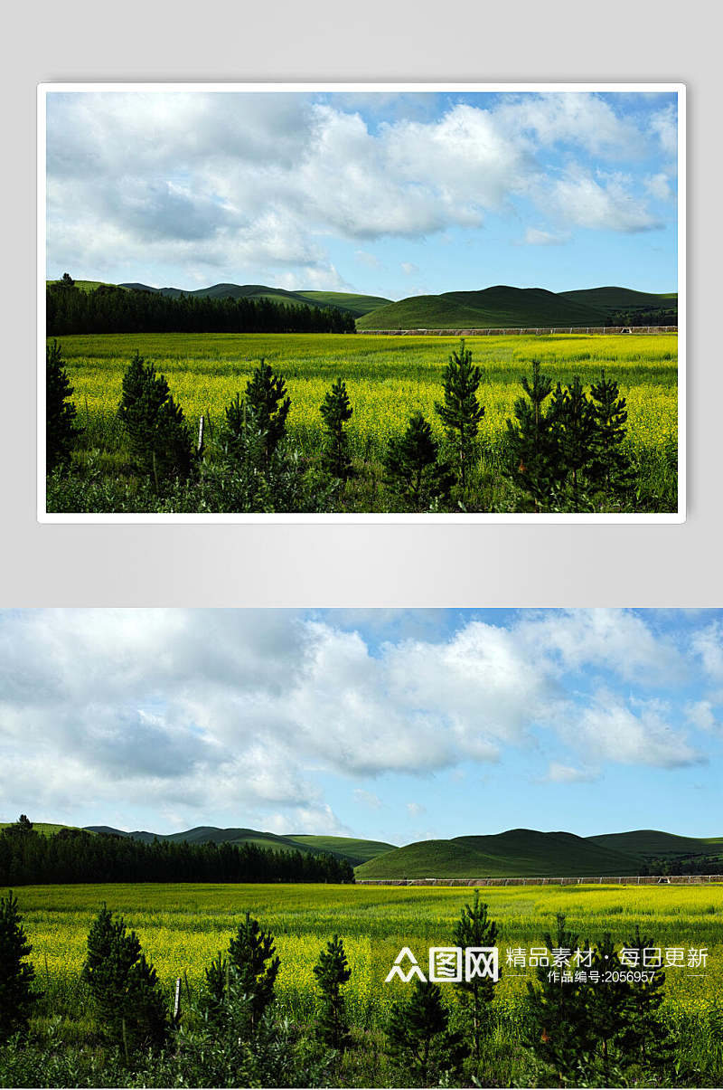 草地天空风景图片田野和森林两联摄影视觉图素材