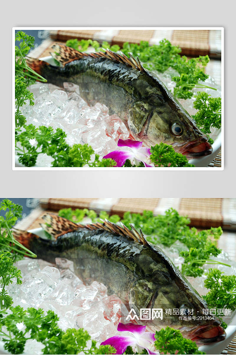 冰镇桂鱼食品摄影图片素材