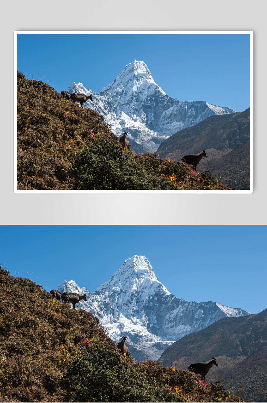 雪景山峰高清摄影图片素材