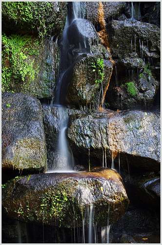 石头水泉原始森林图片
