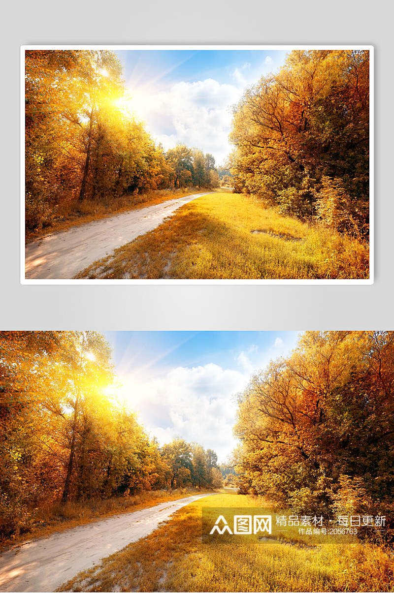 秋天落叶风景图片两联大路森林素材
